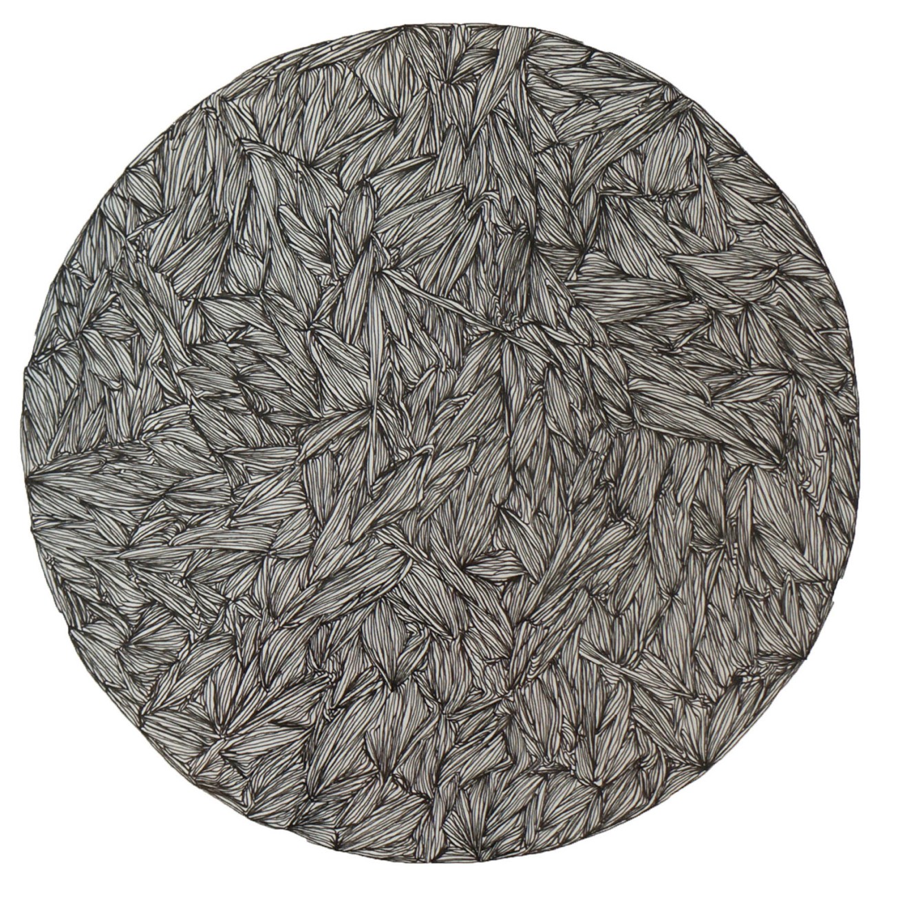 du point à l'astre photo pour portfolio 2015 WOrdpress copie