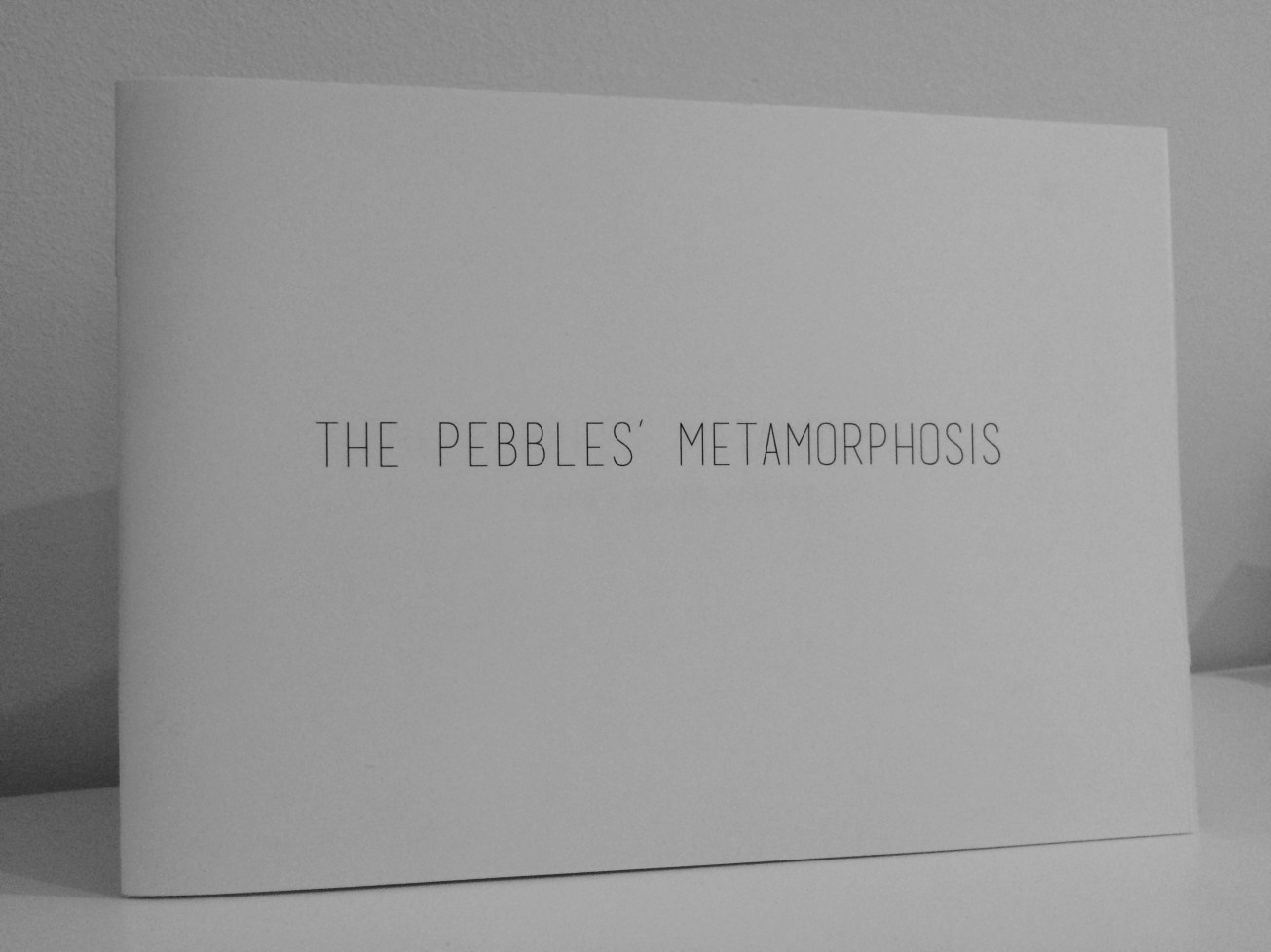 The pebbles' metamorphosis - launch - Anne-Sophie Coiffet